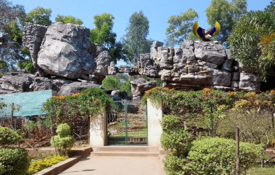 Tirumala Rock Garden